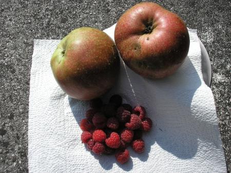 Production de mon jardin